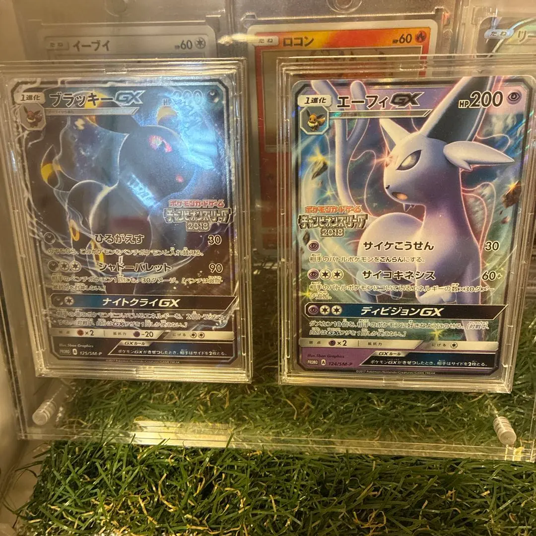 2026年最新】ブラッキーgx チャンピオンズリーグ2018の人気アイテム